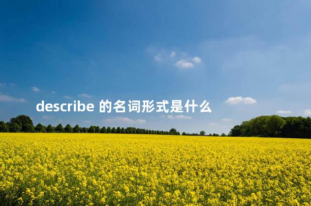 describe 的名词形式是什么 describe的名词可数么